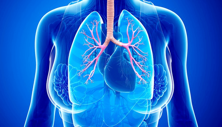 1 on 1 private tutoring